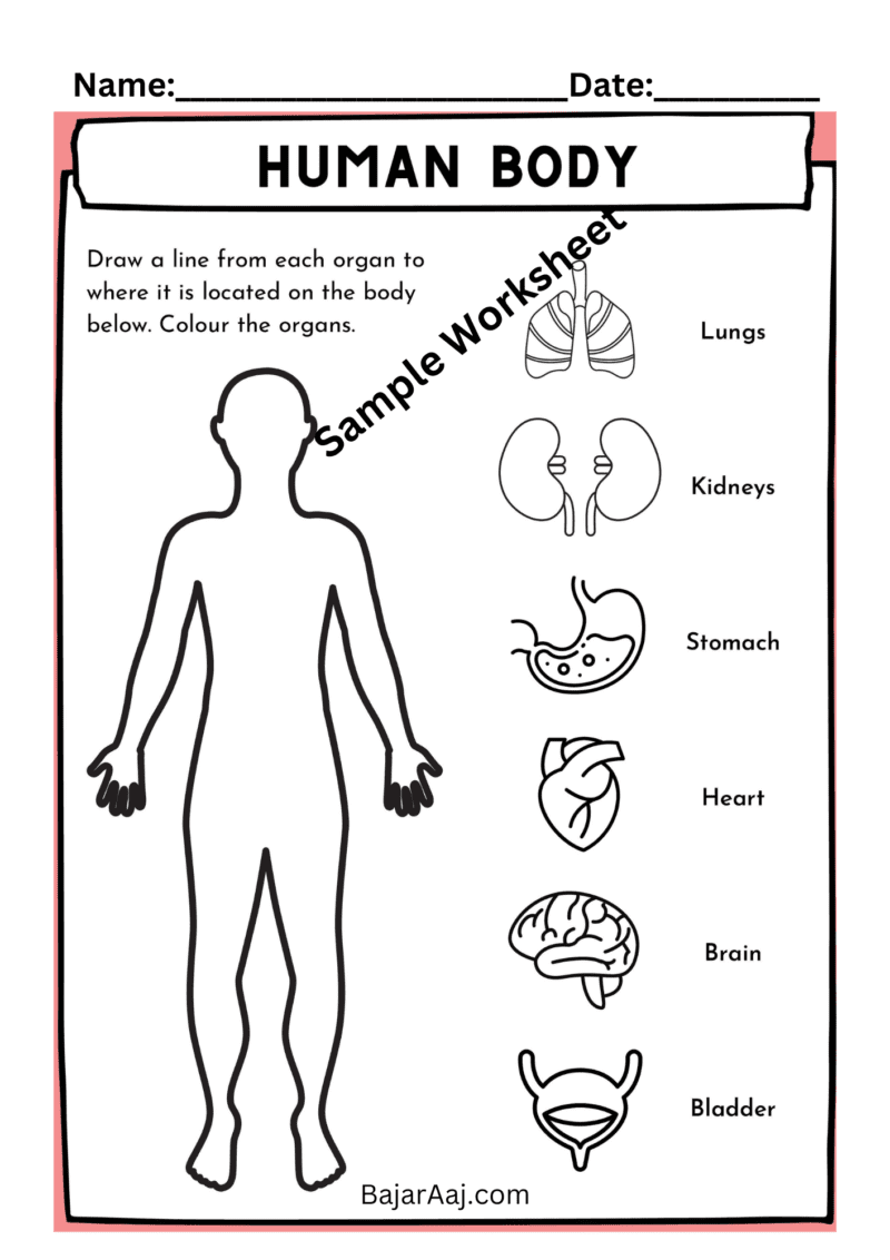 Science Worksheets for Class 1
